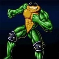 Battletoads Co-op Action