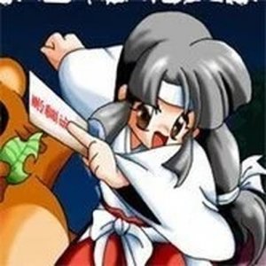 Pocky and Rocky Online Game