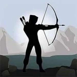Shadow Archers Online Game