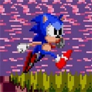 Sonic Zoom Online Game
