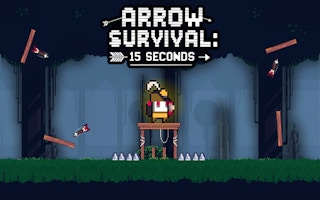 Arrow Survival: 15 Seconds - Pixel Platformer