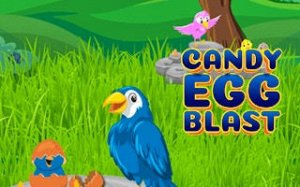 Sweet Egg Nest Puzzle