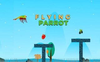 Flying Parrot Adventure