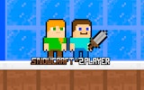 Snowcraft - 2 Player Survival Game