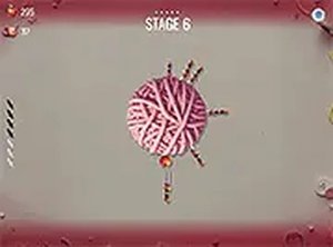 Accurate Toss Target Game
